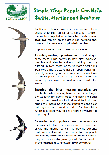 Wild Colerne's 'How You Can Help Swifts' Poster